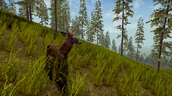 My Village Life - screenshot 1